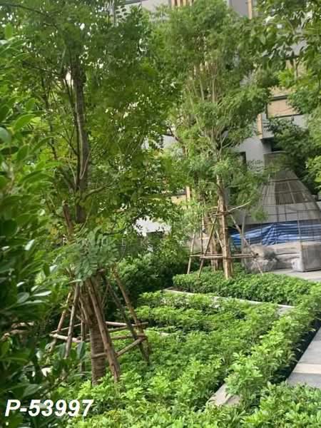 IKON Sukhumvit 77, Bangkok, 182 Sukhumvit Road 77, Suan Luang, Bangkok, 1 Bedroom, 31 sqm, Condo For Rent, by Susira Prueksawun, 500403241 - DDproperty.com