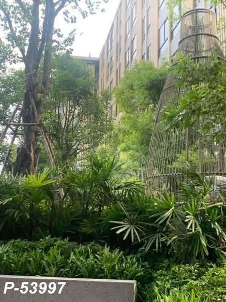 IKON Sukhumvit 77, Bangkok, 182 Sukhumvit Road 77, Suan Luang, Bangkok, 1 Bedroom, 31 sqm, Condo For Rent, by Susira Prueksawun, 500403241 - DDproperty.com