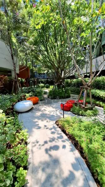 KAVE Embryo, Pathum Thani, Khlong Hok, Khlong Luang, Pathum Thani, 1 Bedroom, 25 sqm, Condo For Sale, by ERA Thailand, 500403525 - DDproperty.com