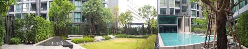 Premio Quinto, Bangkok, Phaholyothin Road, Sena Nikhom, Chatuchak, Bangkok, 1 Bedroom, 25 sqm, Condo For Rent, by Nop Satjavitvisarn, 500403586 - DDproperty.com