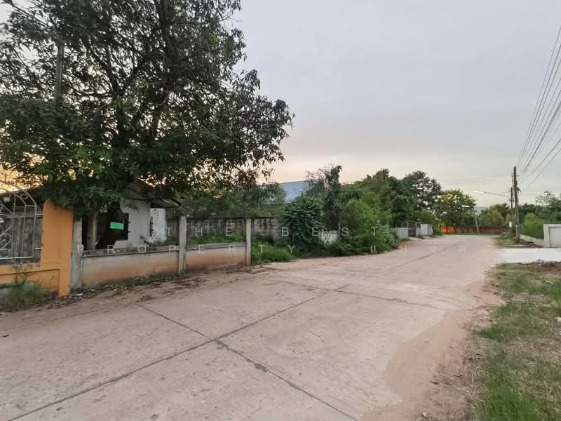 ไทยเจริญ หนองบัวแดง, ชัยภูมิ, หนองบัวแดง, ชัยภูมิ, 150 ตร.ม., บ้านเดี่ยว ขาย, โดย The Best Property แบงค์, 500403594 - DDproperty.com