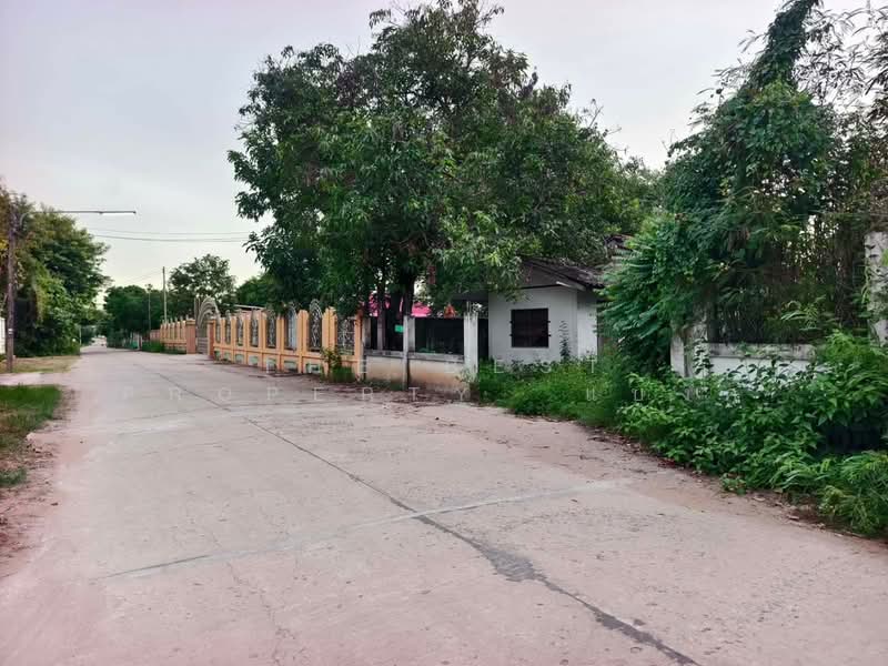 ไทยเจริญ หนองบัวแดง, Chaiyaphum, Nong Bua Daeng, Chaiyaphum, 3 Bedrooms, 150 sqm, Single Detached House For Sale, by The Best Property แบงค์, 500403594 - DDproperty.com