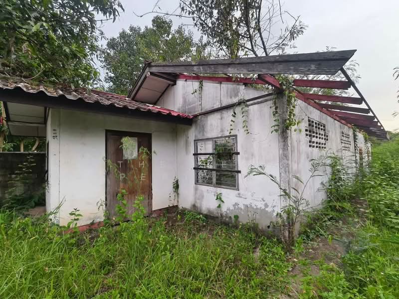 ไทยเจริญ หนองบัวแดง, Chaiyaphum, Nong Bua Daeng, Chaiyaphum, 3 Bedrooms, 150 sqm, Single Detached House For Sale, by The Best Property แบงค์, 500403594 - DDproperty.com