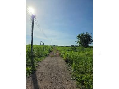 ขาย - ที่ดินคลองขลุง กำแพงเพชร, กำแพงเพชร