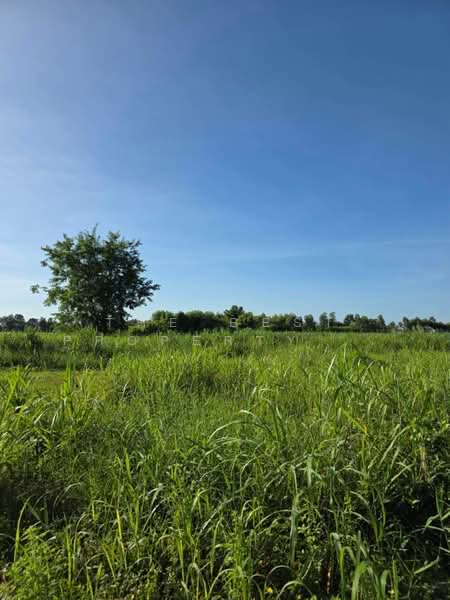 ที่ดินคลองขลุง กำแพงเพชร, Kamphaeng Phet, Tha Makua, Khlong Khlung, Kamphaeng Phet, , 3,800 sqm, Land For Sale, by The Best Property รัตน์, 500403642 - DDproperty.com