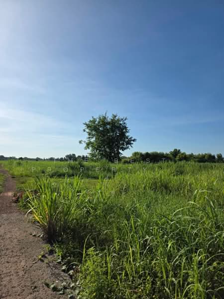 ที่ดินคลองขลุง กำแพงเพชร, กำแพงเพชร, ท่ามะเขือ, คลองขลุง, กำแพงเพชร, 3,800 ตร.ม., ที่ดิน ขาย, โดย The Best Property รัตน์, 500403642 - DDproperty.com
