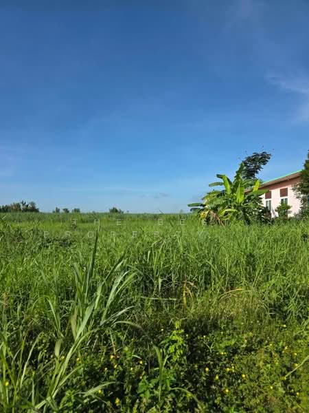 ที่ดินคลองขลุง กำแพงเพชร, Kamphaeng Phet, Tha Makua, Khlong Khlung, Kamphaeng Phet, , 3,800 sqm, Land For Sale, by The Best Property รัตน์, 500403642 - DDproperty.com