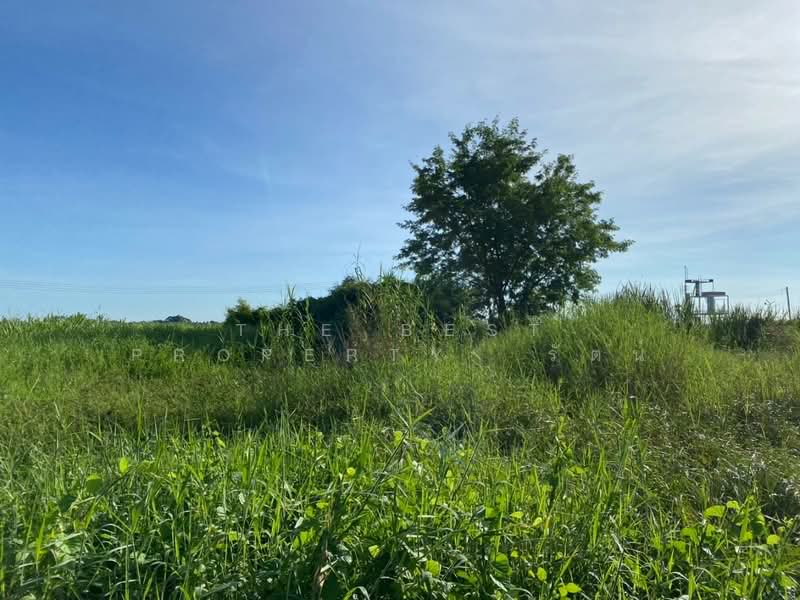 ที่ดินคลองขลุง กำแพงเพชร, Kamphaeng Phet, Tha Makua, Khlong Khlung, Kamphaeng Phet, , 3,800 sqm, Land For Sale, by The Best Property รัตน์, 500403642 - DDproperty.com