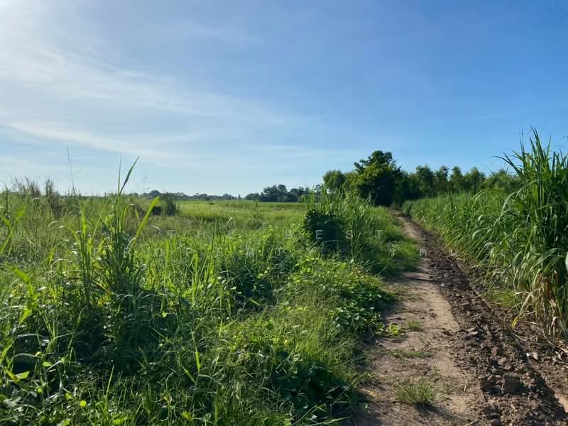 ที่ดินคลองขลุง กำแพงเพชร, Kamphaeng Phet, Tha Makua, Khlong Khlung, Kamphaeng Phet, , 3,800 sqm, Land For Sale, by The Best Property รัตน์, 500403642 - DDproperty.com