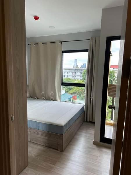 Plum Condo Sukhumvit 97/1 : พลัมคอนโด สุขุมวิท 97/1, กรุงเทพ, 204 ซอย สุขุมวิท 97/1, บางจาก, พระโขนง, กรุงเทพ, 31 ตร.ม., คอนโด ให้เช่า, โดย Connex Property, 500403683 - DDproperty.com