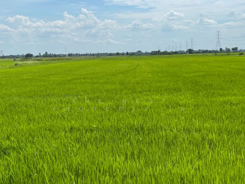 ที่ดินบางน้ำเปรี้ยว ฉะเชิงเทรา, ฉะเชิงเทรา, ดอนฉิมพลี, บางน้ำเปรี้ยว, ฉะเชิงเทรา, 11,764 ตร.ม., ที่ดิน ขาย, โดย The Best Property โม, 500403703 - DDproperty.com