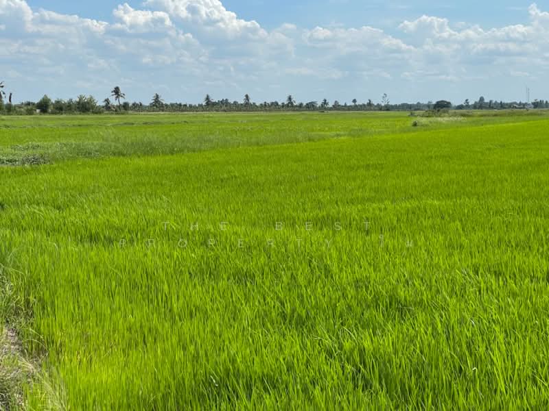 ที่ดินบางน้ำเปรี้ยว ฉะเชิงเทรา, ฉะเชิงเทรา, ดอนฉิมพลี, บางน้ำเปรี้ยว, ฉะเชิงเทรา, 11,764 ตร.ม., ที่ดิน ขาย, โดย The Best Property โม, 500403703 - DDproperty.com