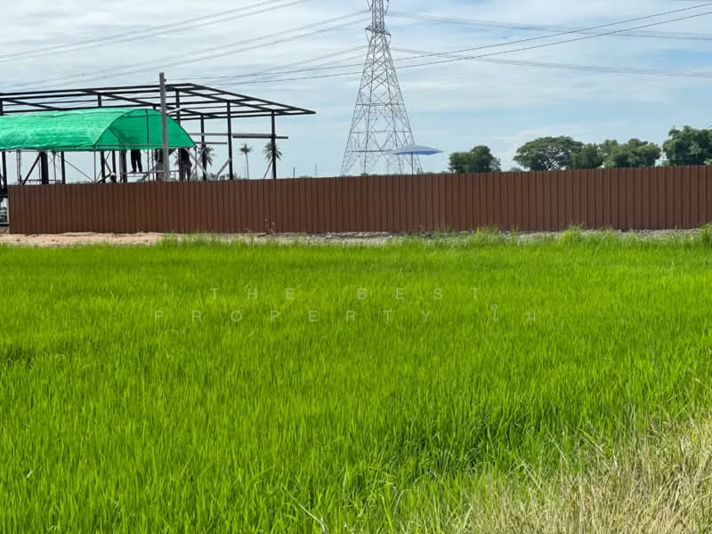 ที่ดินบางน้ำเปรี้ยว ฉะเชิงเทรา, ฉะเชิงเทรา, ดอนฉิมพลี, บางน้ำเปรี้ยว, ฉะเชิงเทรา, 11,764 ตร.ม., ที่ดิน ขาย, โดย The Best Property โม, 500403703 - DDproperty.com