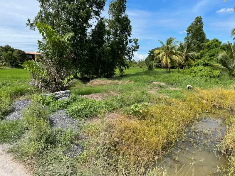 ที่ดินบางน้ำเปรี้ยว ฉะเชิงเทรา, Chachoengsao, Don Chimphli, Bang Nam Prieo, Chachoengsao, , 11,764 sqm, Land For Sale, by The Best Property โม, 500403703 - DDproperty.com