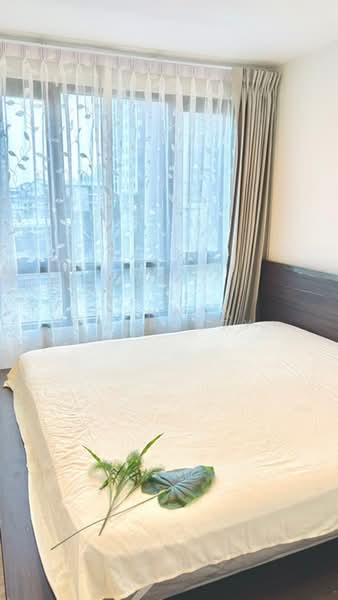 Pause Sukhumvit 107, Bangkok, Sukhumvit 107, Bang Na, Bangkok, 1 Bedroom, 32 sqm, Condo For Rent, by Connex Property, 500403825 - DDproperty.com