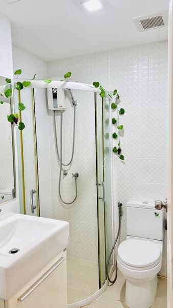 Pause Sukhumvit 107, Bangkok, Sukhumvit 107, Bang Na, Bangkok, 1 Bedroom, 32 sqm, Condo For Rent, by Connex Property, 500403825 - DDproperty.com
