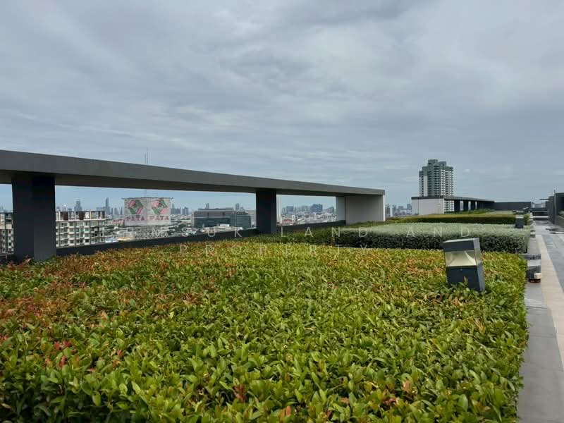 Plum Condo Pinklao Station, Bangkok, Somdet Chaopraya Road, Bang Yi Khan, Bang Phlat, Bangkok, 1 Bedroom, 25 sqm, Condo For Sale, by Termsuk land and property, 500403896 - DDproperty.com