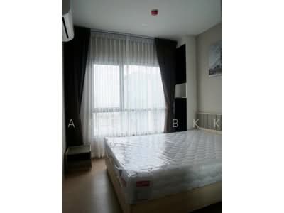 For Rent - The Tree Sukhumvit 71-Ekamai, Bangkok