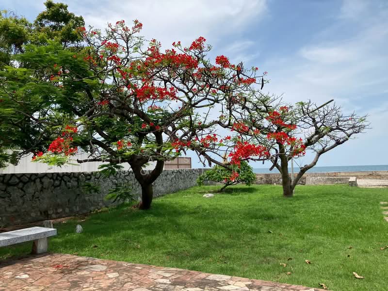 Beautiful beachfront house and land plot in Hua Hin, Prachuap Khiri Khan, Hin Lek Fai, Hua Hin, Prachuap Khiri Khan, , 7,420 sqm, Land For Sale, by Shori Asset Group Co., Ltd., 500403994 - DDproperty.com