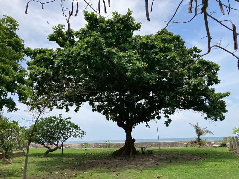Beautiful beachfront house and land plot in Hua Hin, Prachuap Khiri Khan, Hin Lek Fai, Hua Hin, Prachuap Khiri Khan, , 7,420 sqm, Land For Sale, by Shori Asset Group Co., Ltd., 500403994 - DDproperty.com