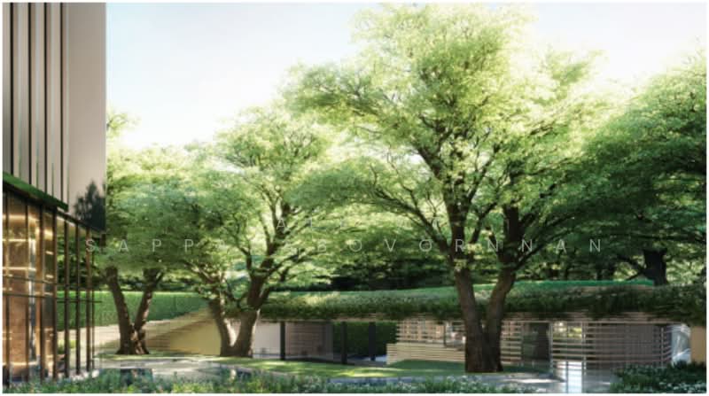 Park Origin Thonglor, กรุงเทพ, Soi Thonglor 10, Sukhumvit Road, คลองตันเหนือ, วัฒนา, กรุงเทพ, 66 ตร.ม., คอนโด ให้เช่า, โดย Lalipat Sappayabovornnan, 500404021 - DDproperty.com