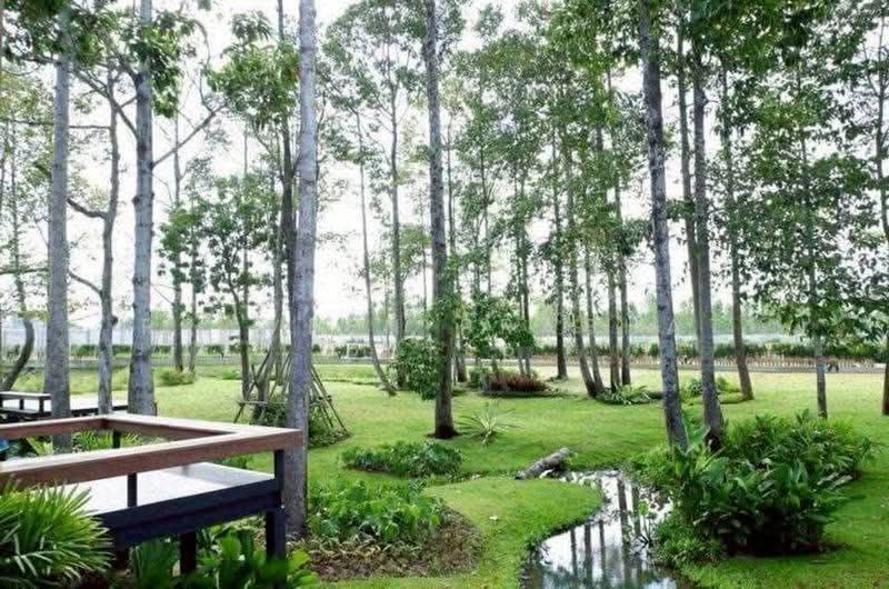 Life In The Garden Rongpo-Motorway : ไลฟ อิน เดอะ การ์เด้น โรงโป๊ะ-มอเตอร์เวย์, ชลบุรี, ซอยบางละมุง 25 (โรงโป๊ะ), ตะเคียนเตี้ย, บางละมุง, ชลบุรี, 300 ตร.ม., บ้านเดี่ยว ให้เช่า, โดย Praveen Prabhat Peter, 500404227 - DDproperty.com