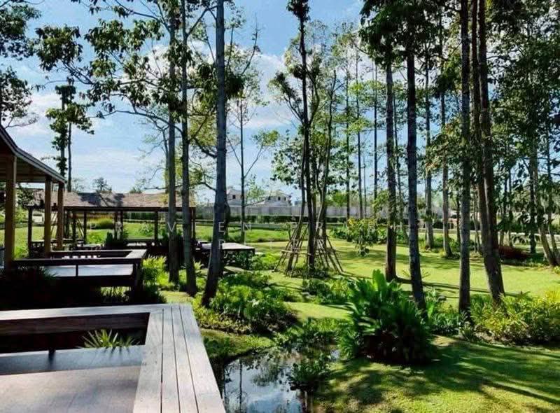 Life In The Garden Rongpo-Motorway : ไลฟ อิน เดอะ การ์เด้น โรงโป๊ะ-มอเตอร์เวย์, ชลบุรี, ซอยบางละมุง 25 (โรงโป๊ะ), ตะเคียนเตี้ย, บางละมุง, ชลบุรี, 300 ตร.ม., บ้านเดี่ยว ให้เช่า, โดย Praveen Prabhat Peter, 500404227 - DDproperty.com