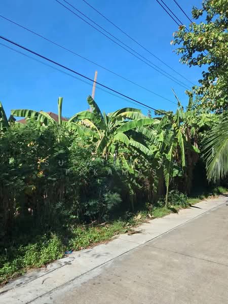Krungthep Kreetha, Bangkok, กรุงเทพกรีฑา, Hua Mak, Bang Kapi, Bangkok, , 1,600 sqm, Warehouse/Factory For Rent, by Supatchara Pakamas, 500404250 - DDproperty.com