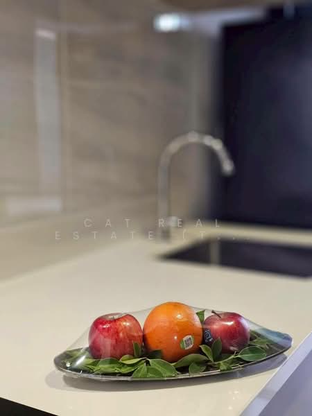 Cloud Thonglor-Phetchaburi, Bangkok, 1986 New Petchaburi Road, Bang Kapi, Huai Khwang, Bangkok, 1 Bedroom, 25 sqm, Condo For Rent, by Cat Real Estate (Thailand) Co., Ltd., 500404281 - DDproperty.com