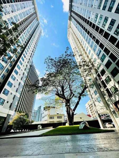 The Base Central Pattaya : เดอะ เบส เซ็นทรัล พัทยา, ชลบุรี, ถนนพัทยาสาย 2, บางละมุง, ชลบุรี, 32 ตร.ม., คอนโด ให้เช่า, โดย Jirapat Chuangsawadsak, 500404284 - DDproperty.com