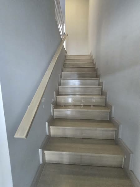 Citysense Salaya, Nakhon Pathom, Salaya-Nakhon Chaisri Road, Salaya, Phuttha Mon Thon, Nakhon Pathom, 2 Bedrooms, 130 sqm, Townhouse For Rent, by พัทธนันท์ เชาวลิต, 500404336 - DDproperty.com