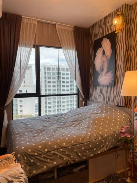 KnightsBridge Collage Ramkhamhaeng, Bangkok, Ramkhamhaeng Road, Hua Mak, Bang Kapi, Bangkok, 1 Bedroom, 27 sqm, Condo For Sale, by The Best Property บอส, 500404463 - DDproperty.com
