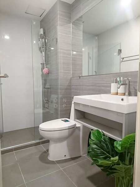 KnightsBridge Phaholyothin Interchange, Bangkok, Phahonyothin Road, Anusaowari, Bang Khen, Bangkok, 1 Bedroom, 29 sqm, Condo For Rent, by Connex Property, 500404622 - DDproperty.com