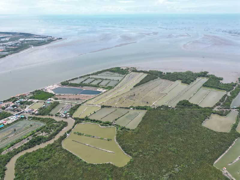ที่ดิน, Samut Songkhram, แหลมใหญ่, Laem Yai, Muang Samut Songkhram, Samut Songkhram, , 9,909 sqm, Land For Sale, by TITISAK Jane, 500404746 - DDproperty.com