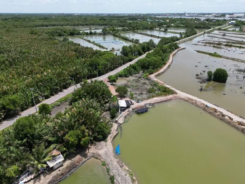 ที่ดิน, สมุทรสงคราม, แหลมใหญ่, เมืองสมุทรสงคราม, สมุทรสงคราม, 9,909 ตร.ม., ที่ดิน ขาย, โดย ฐิติศักดิ์ เจน, 500404746 - DDproperty.com