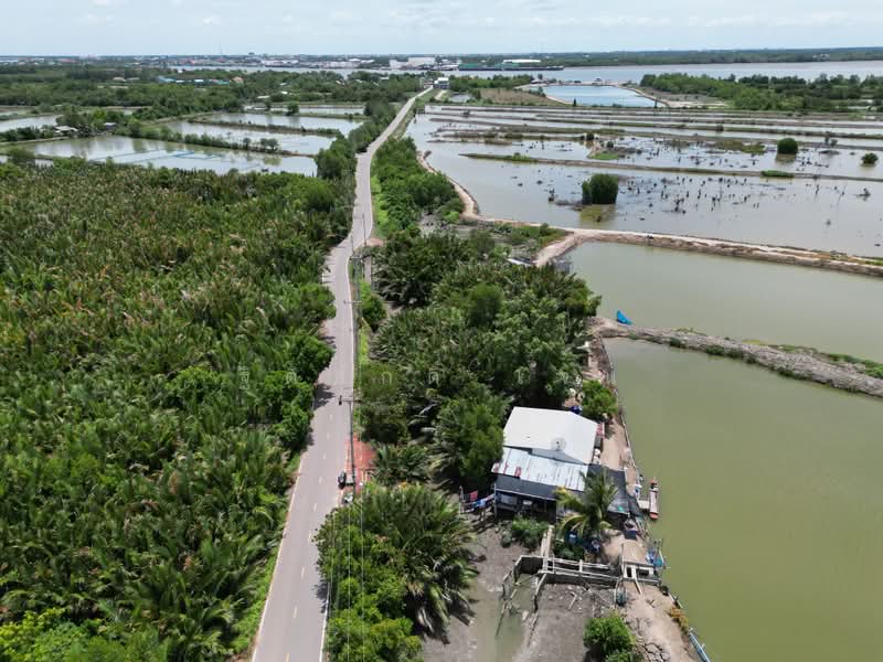 ที่ดิน, สมุทรสงคราม, แหลมใหญ่, เมืองสมุทรสงคราม, สมุทรสงคราม, 37,724 ตร.ม., ที่ดิน ขาย, โดย ฐิติศักดิ์ เจน, 500404747 - DDproperty.com