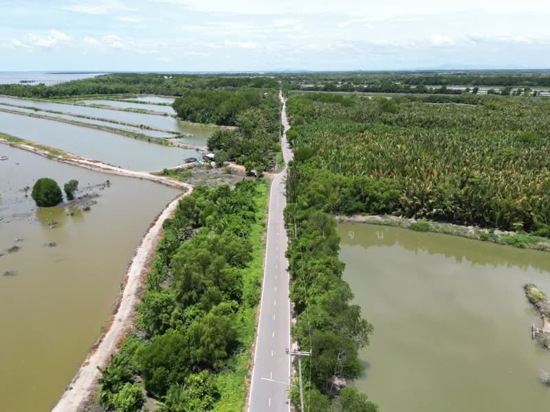 ที่ดิน, สมุทรสงคราม, แหลมใหญ่, เมืองสมุทรสงคราม, สมุทรสงคราม, 37,724 ตร.ม., ที่ดิน ขาย, โดย ฐิติศักดิ์ เจน, 500404747 - DDproperty.com