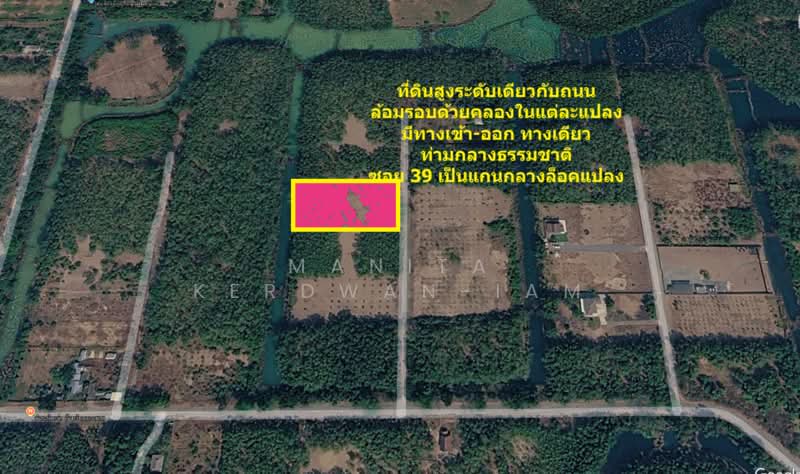 โครงการ คันทรี การ์เด้น ตำบล คลองสาม อำเภอคลองหลวง ปทุมธานี, ปทุมธานี, เลียบคลองสาม, คลองสาม, คลองหลวง, ปทุมธานี, 3,224 ตร.ม., ที่ดิน ขาย, โดย Manita Kerdwan-Iam, 500404748 - DDproperty.com