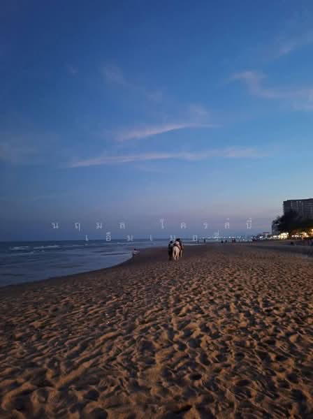Blue Lagoon Resort Hua Hin : บลู ลากูน คอนโด, เพชรบุรี, 1991 21 ถนน เพชรเกษม, ชะอำ, เพชรบุรี, 148 ตร.ม., คอนโด ขาย, โดย นฤมล โครส์บี้ เอ็มเมอรี่, 500404777 - DDproperty.com