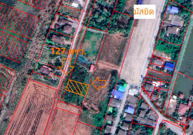 ไม่พบโครงการ, กรุงเทพ, สุวินทวงศ์41, ลำต้อยติ่ง, หนองจอก, กรุงเทพ, 4,108 ตร.ม., ที่ดิน ให้เช่า, โดย ณัฐพงศ์ สุนทรอรุณ, 500404782 - DDproperty.com
