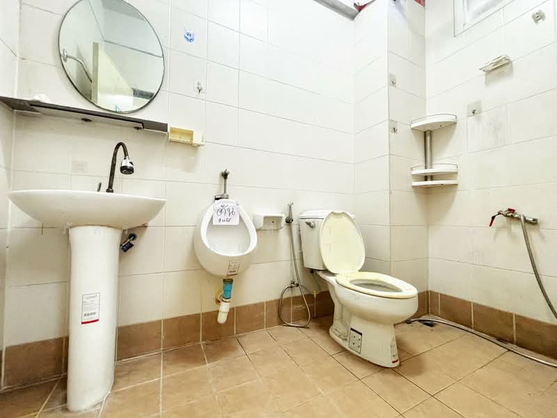 อาคารพาณิชย์ 4.5ชั้น เอ็ม ที ซิตี้ คลองหลวง, Pathum Thani, Khlong Song, Khlong Luang, Pathum Thani, , 80 sqm, Shophouse For Sale, by ภัทรนัน อิศรางกูร ณ อยุธยา, 500404933 - DDproperty.com