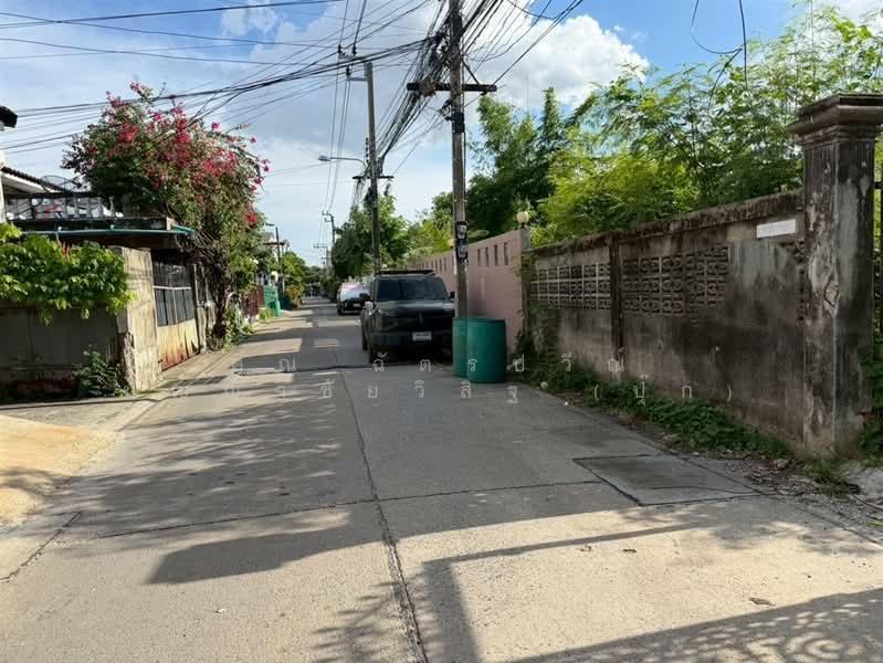 ที่ดินเปล่า 176 ตร.ว. ที่ดิน ซอยสร้อยทอง1 ถนนปู่เจ้าสมิงพราย, Samut Prakan, ถนนปู่เจ้าสมิงพราย, Sam Rong, Phra Pra Daeng, Samut Prakan, , 704 sqm, Land For Sale, by คุณ ฉัตรปวีณ์ ปัญญาชัยวิสิฐ (ปุ๊ก), 500404963 - DDproperty.com