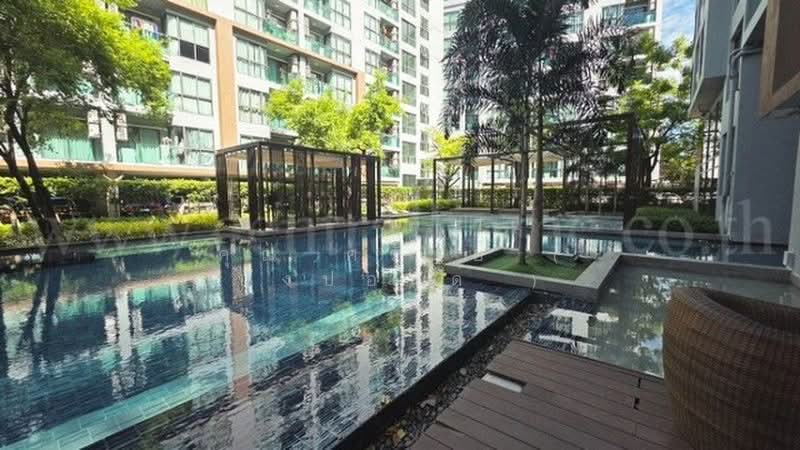 The Excel Hideaway Sukhumvit 50 : ดิ เอ็กเซล ไฮด์อะเวย์ สุขุมวิท 50, กรุงเทพ, 1112 ซอย ร่วมเจริญ, พระโขนง, คลองเตย, กรุงเทพ, 29 ตร.ม., คอนโด ขาย, โดย คุณ ศรันย์ ( ปังปอนด์ ), 500405051 - DDproperty.com