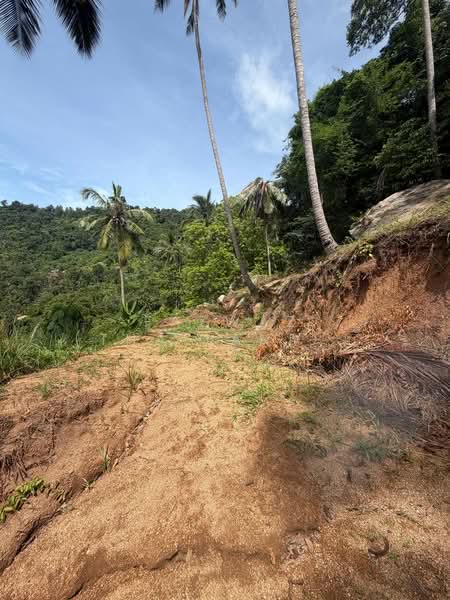 Rare 1 Rai Sea View Land for Sale in Lamai, Koh Samui with Chanote, Surat Thani, Maret, Ko Samui, Surat Thani, , 1,600 sqm, Land For Sale, by Fazwaz (Thailand) Co., Ltd., 500405182 - DDproperty.com