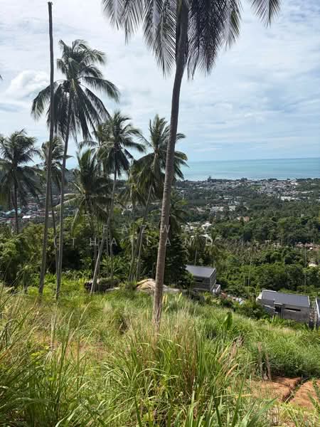 Rare 1 Rai Sea View Land for Sale in Lamai, Koh Samui with Chanote, Surat Thani, Maret, Ko Samui, Surat Thani, , 1,600 sqm, Land For Sale, by Fazwaz (Thailand) Co., Ltd., 500405182 - DDproperty.com