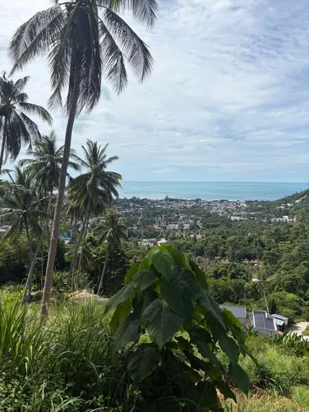 Rare 1 Rai Sea View Land for Sale in Lamai, Koh Samui with Chanote, Surat Thani, Maret, Ko Samui, Surat Thani, , 1,600 sqm, Land For Sale, by Fazwaz (Thailand) Co., Ltd., 500405182 - DDproperty.com