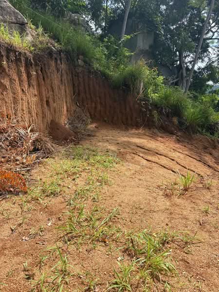 Rare 1 Rai Sea View Land for Sale in Lamai, Koh Samui with Chanote, Surat Thani, Maret, Ko Samui, Surat Thani, , 1,600 sqm, Land For Sale, by Fazwaz (Thailand) Co., Ltd., 500405182 - DDproperty.com