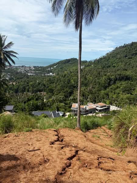 Rare 1 Rai Sea View Land for Sale in Lamai, Koh Samui with Chanote, Surat Thani, Maret, Ko Samui, Surat Thani, , 1,600 sqm, Land For Sale, by Fazwaz (Thailand) Co., Ltd., 500405182 - DDproperty.com