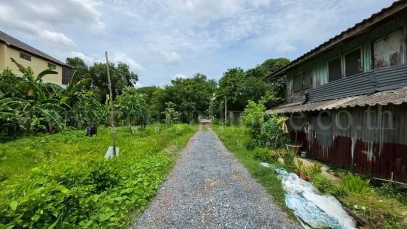 ซอยทวีวัฒนา 43, Bangkok, ทวีวัฒนา, Sala Thammasop, Thawi Watthana, Bangkok, , 500 sqm, Land For Sale, by คุณพลอยวาลินน์ (วาลินน์), 500405210 - DDproperty.com