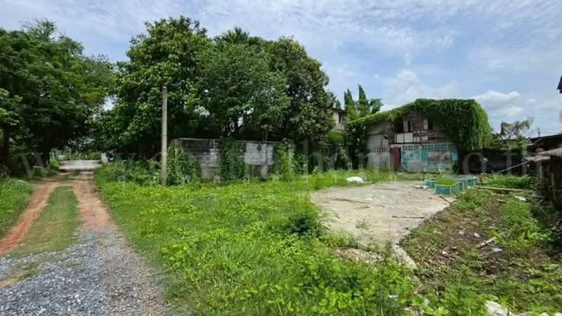 ซอยทวีวัฒนา 43, Bangkok, ทวีวัฒนา, Sala Thammasop, Thawi Watthana, Bangkok, , 500 sqm, Land For Sale, by คุณพลอยวาลินน์ (วาลินน์), 500405210 - DDproperty.com